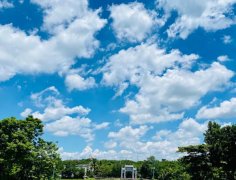 海南：放寬社會資本進(jìn)入農(nóng)村的限制！中國大農(nóng)場時代來臨？