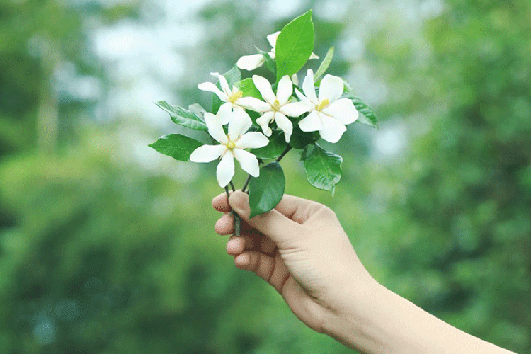 我能想到最浪漫的事情,就是和你回歸田園生活,一起變老!(圖4) 睿婕輕鋼別墅
